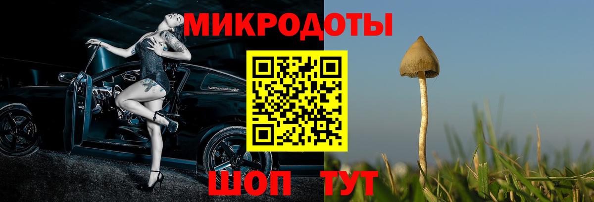 Галлюциногенные грибы GOLDEN TEACHER Губкинский