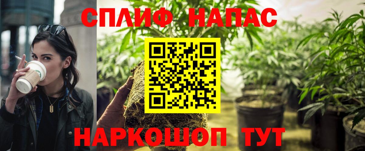 Конопля OG Kush Губкинский